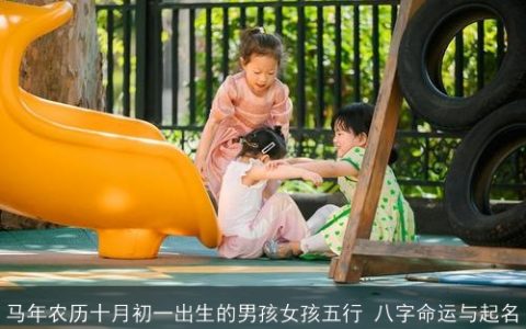 马年农历十月初一出生的男孩女孩五行 八字命运与起名