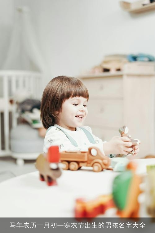 马年农历十月初一寒衣节出生的男孩名字大全