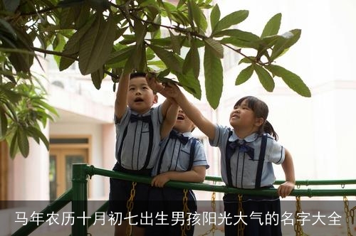 马年农历十月初七出生男孩阳光大气的名字大全