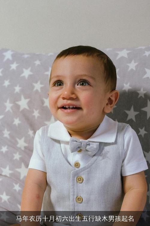 马年农历十月初六出生五行缺木男孩起名