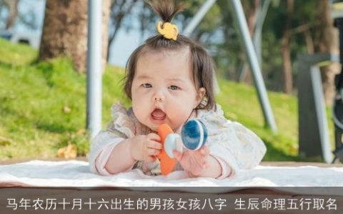 马年农历十月十六出生的男孩女孩八字 生辰命理五行取名