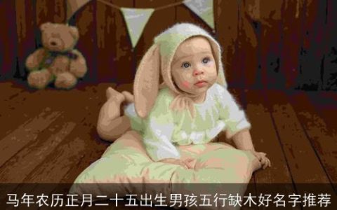 马年农历正月二十五出生男孩五行缺木好名字推荐
