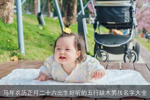 马年农历正月二十六出生好听的五行缺木男孩名字大全