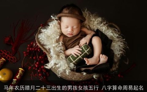 马年农历腊月二十三出生的男孩女孩五行 八字算命周易起名
