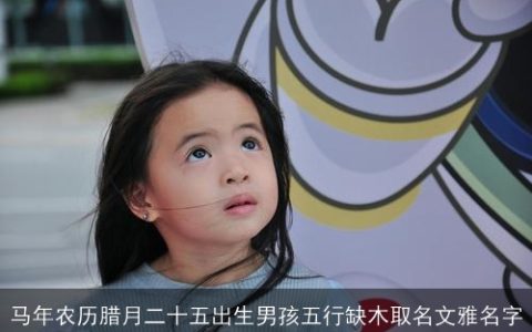 马年农历腊月二十五出生男孩五行缺木取名文雅名字