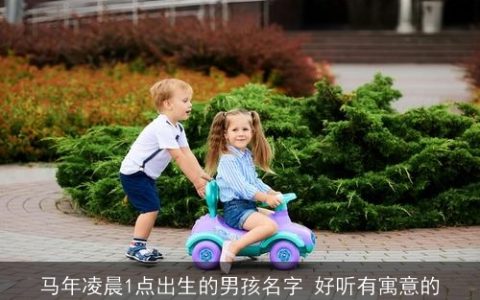 马年凌晨1点出生的男孩名字 好听有寓意的