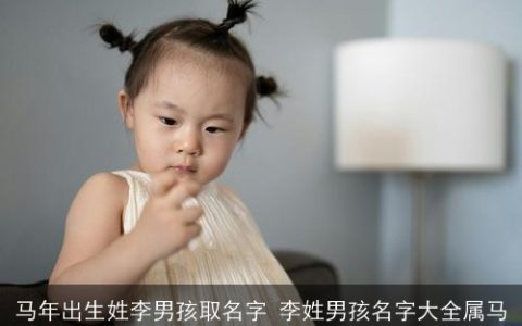 马年出生姓李男孩取名字 李姓男孩名字大全属马