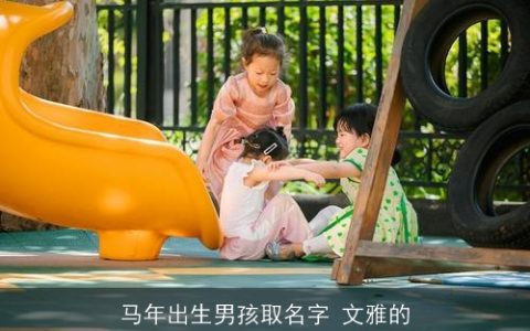 马年出生男孩取名字 文雅的