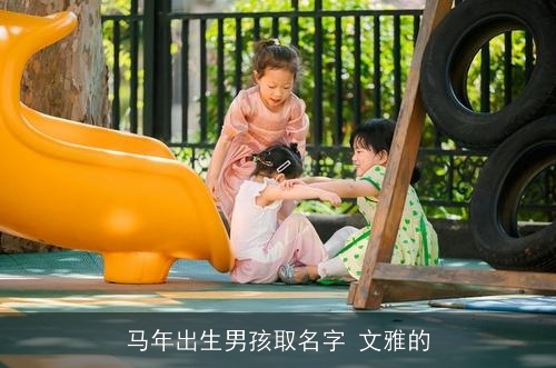 马年出生男孩取名字 文雅的