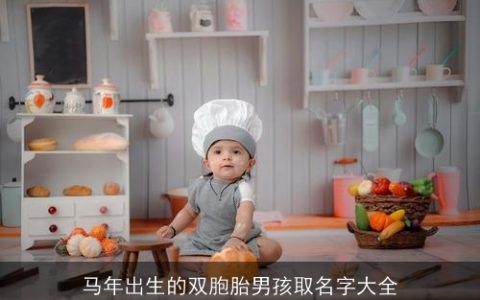 马年出生的双胞胎男孩取名字大全