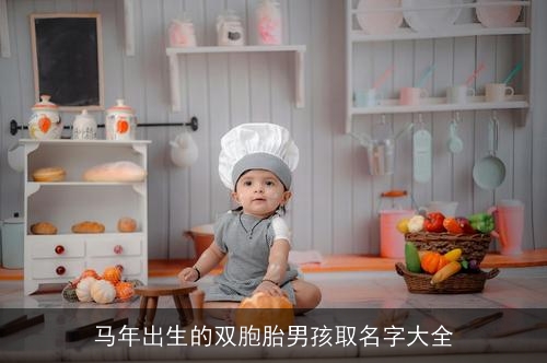 马年出生的双胞胎男孩取名字大全