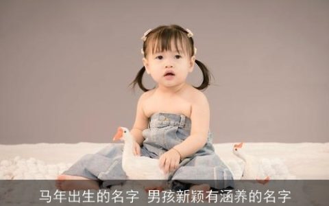马年出生的名字 男孩新颖有涵养的名字