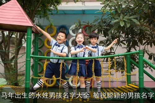 马年出生的水姓男孩名字大全 敏锐聪颖的男孩名字