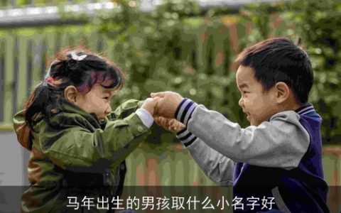 马年出生的男孩取什么小名字好