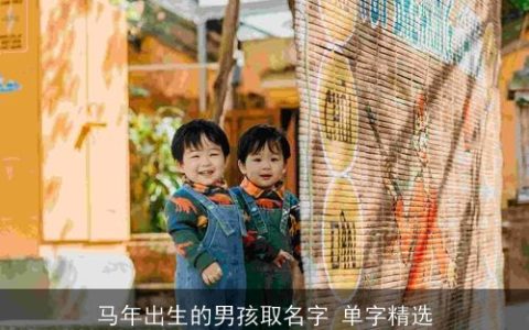 马年出生的男孩取名字 单字精选
