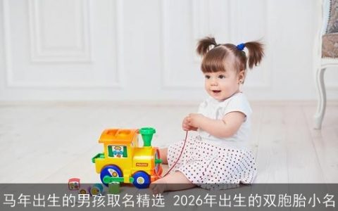 马年出生的男孩取名精选 2026年出生的双胞胎小名