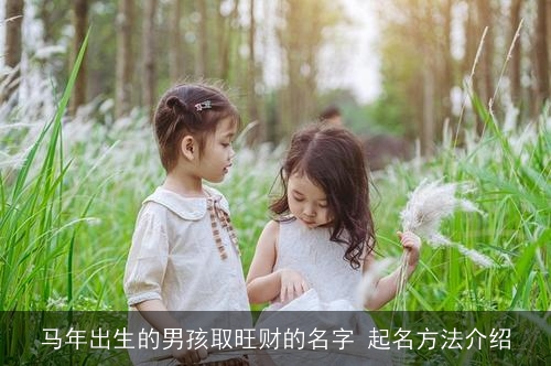 马年出生的男孩取旺财的名字 起名方法介绍