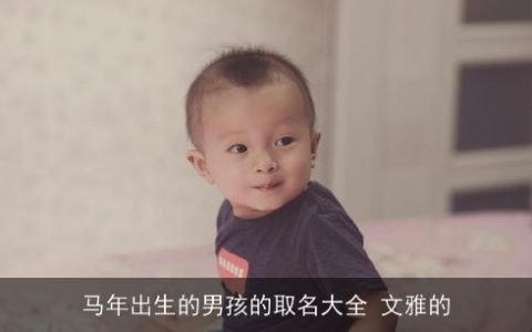 马年出生的男孩的取名大全 文雅的