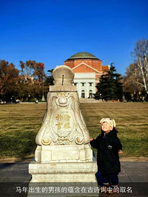 马年出生的男孩的蕴含在古诗词中的取名