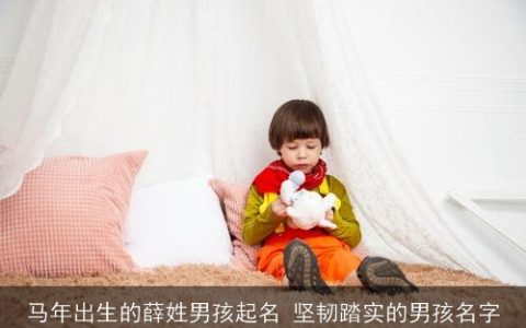 马年出生的薛姓男孩起名 坚韧踏实的男孩名字