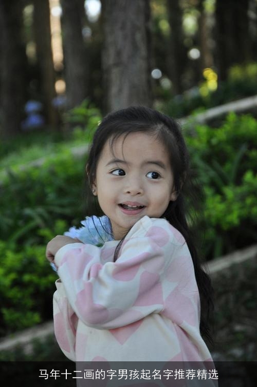 马年十二画的字男孩起名字推荐精选