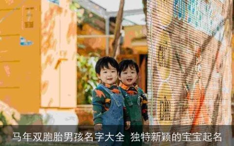 马年双胞胎男孩名字大全 独特新颖的宝宝起名