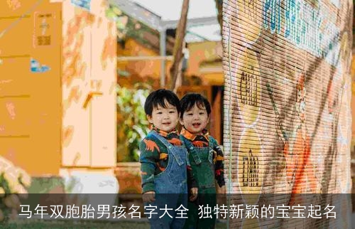 马年双胞胎男孩名字大全 独特新颖的宝宝起名