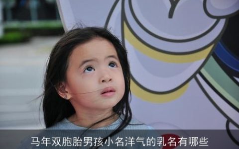马年双胞胎男孩小名洋气的乳名有哪些