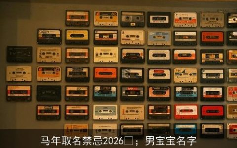 马年取名禁忌2026 ；男宝宝名字
