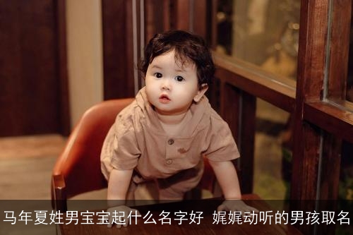 马年夏姓男宝宝起什么名字好 娓娓动听的男孩取名