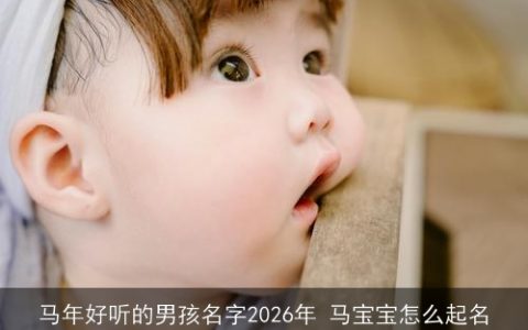 马年好听的男孩名字2026年 马宝宝怎么起名