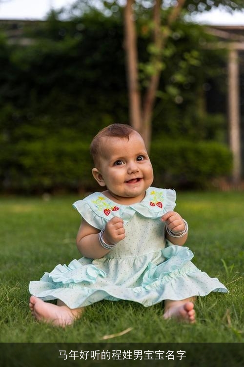 马年好听的程姓男宝宝名字