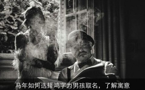 马年如何选择鸿字为男孩取名，了解寓意