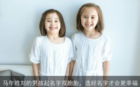 马年姓刘的男孩起名字双胞胎，选好名字才会更幸福