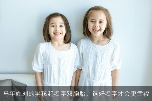 马年姓刘的男孩起名字双胞胎，选好名字才会更幸福