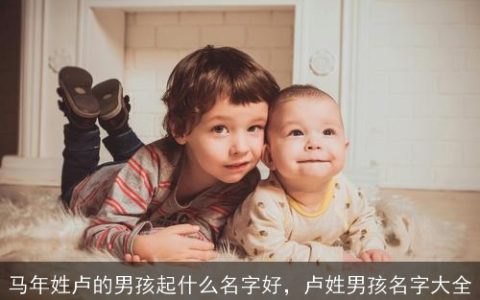 马年姓卢的男孩起什么名字好，卢姓男孩名字大全