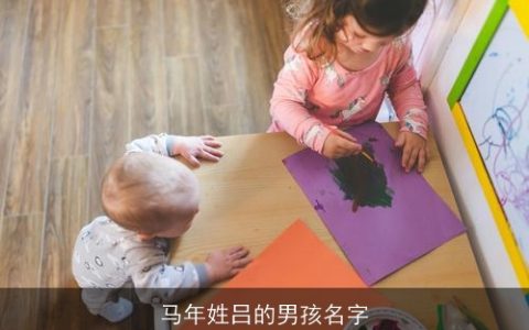 马年姓吕的男孩名字