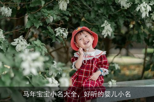 马年宝宝小名大全，好听的婴儿小名