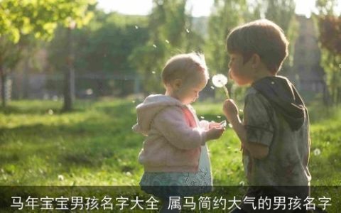 马年宝宝男孩名字大全 属马简约大气的男孩名字