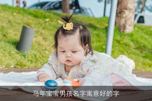 马年宝宝男孩名字寓意好的字