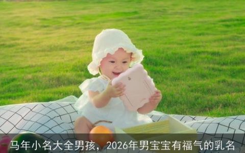 马年小名大全男孩，2026年男宝宝有福气的乳名