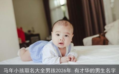 马年小孩取名大全男孩2026年 有才华的男生名字