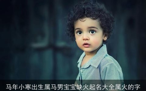 马年小寒出生属马男宝宝缺火起名大全属火的字