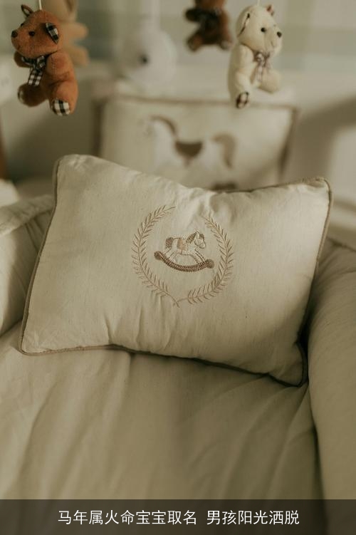 马年属火命宝宝取名 男孩阳光洒脱