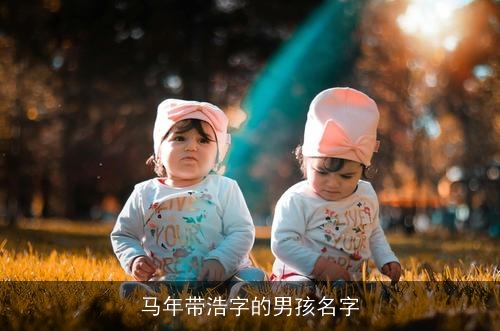 马年带浩字的男孩名字