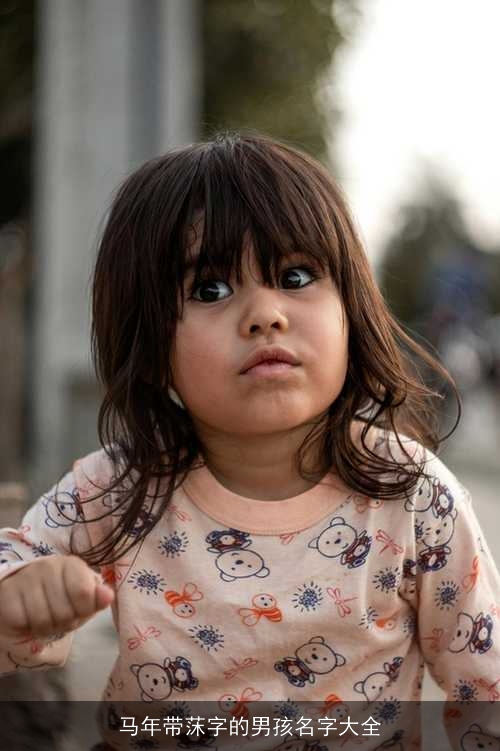 马年带莯字的男孩名字大全