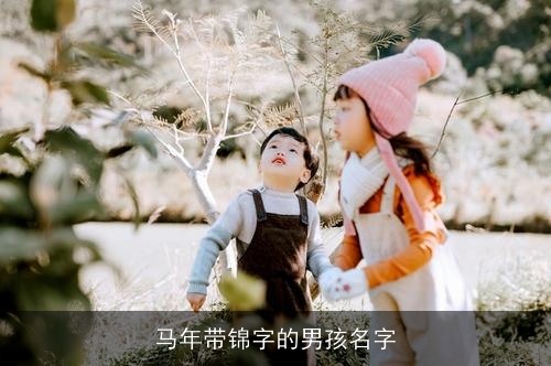 马年带锦字的男孩名字