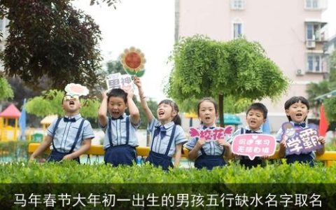 马年春节大年初一出生的男孩五行缺水名字取名