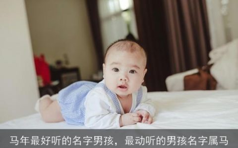 马年最好听的名字男孩，最动听的男孩名字属马