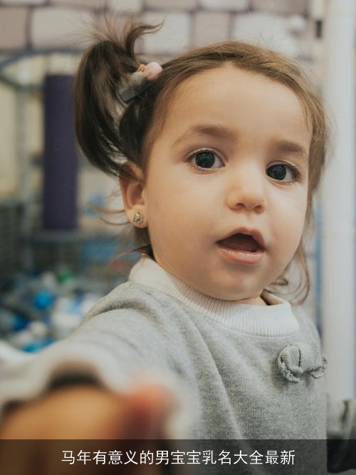 马年有意义的男宝宝乳名大全最新